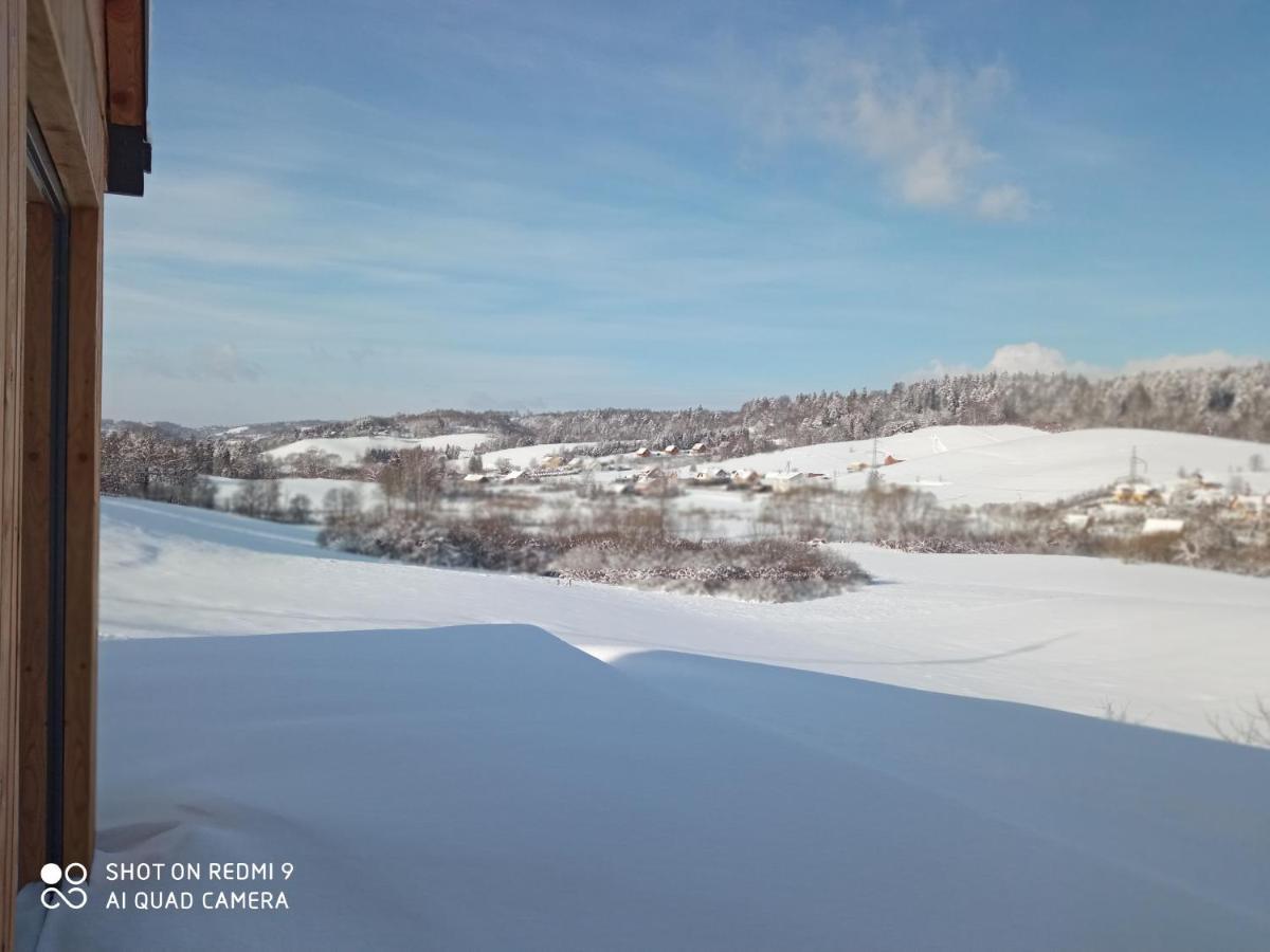 Вілла Domek Na Wzgorzu Orelec Екстер'єр фото